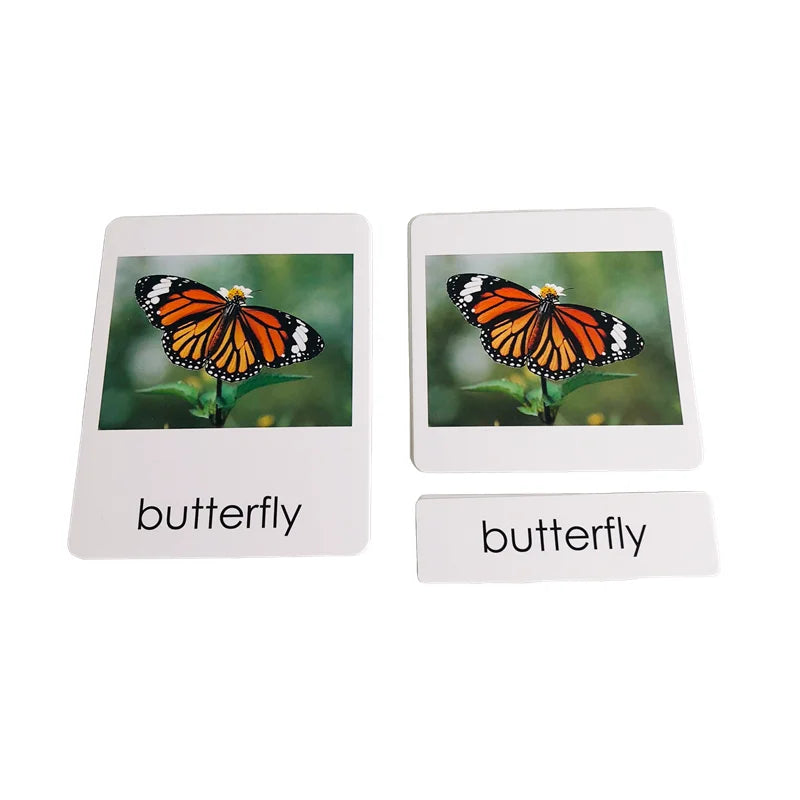 Montessori Life Cycle-Butterfly, Frog,Turtle, and Chicken Models with Cards