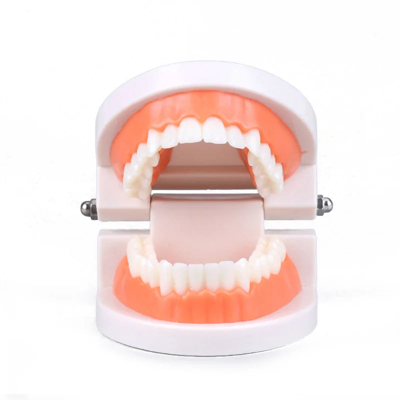 Montessori Practical Life Tooth Brushing Set