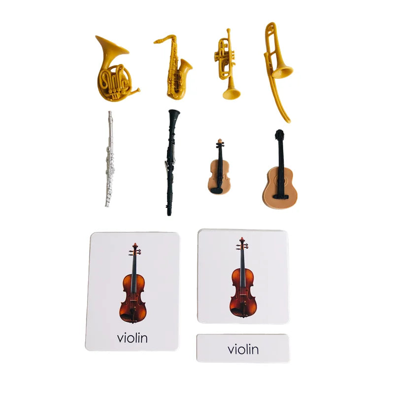 Montessori Language Materials Models with or without cards of Human Organ/ Hardware Tool/ Instruments/ Flower