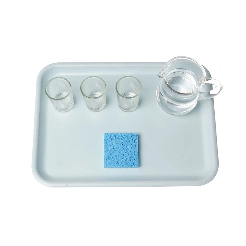 Montessori Practical Life Water Pouring Tray Set