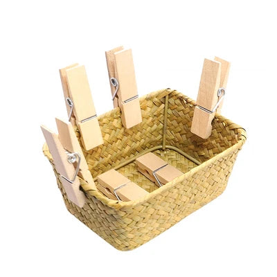 Montessori Practical Life Clothespin and Basket Fine Motor Skills Development