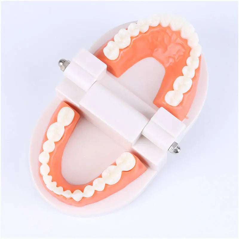 Montessori Practical Life Tooth Brushing Set
