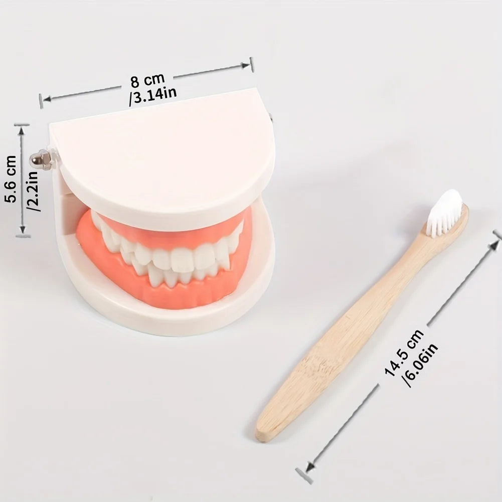 Montessori Practical Life Tooth Brushing Set