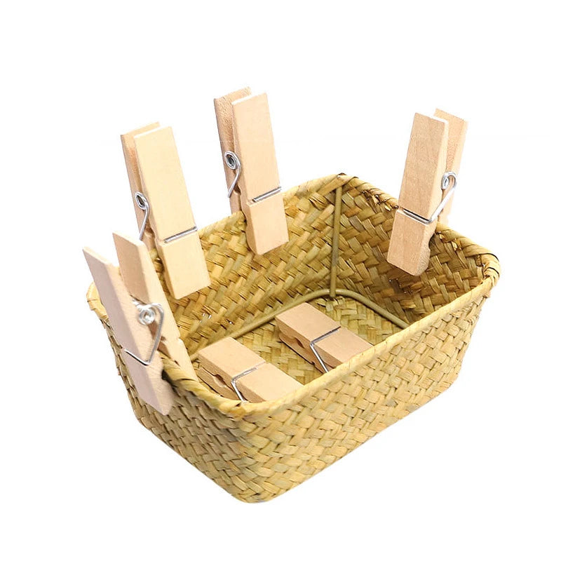 Montessori Practical Life Clothespin and Basket Fine Motor Skills Development