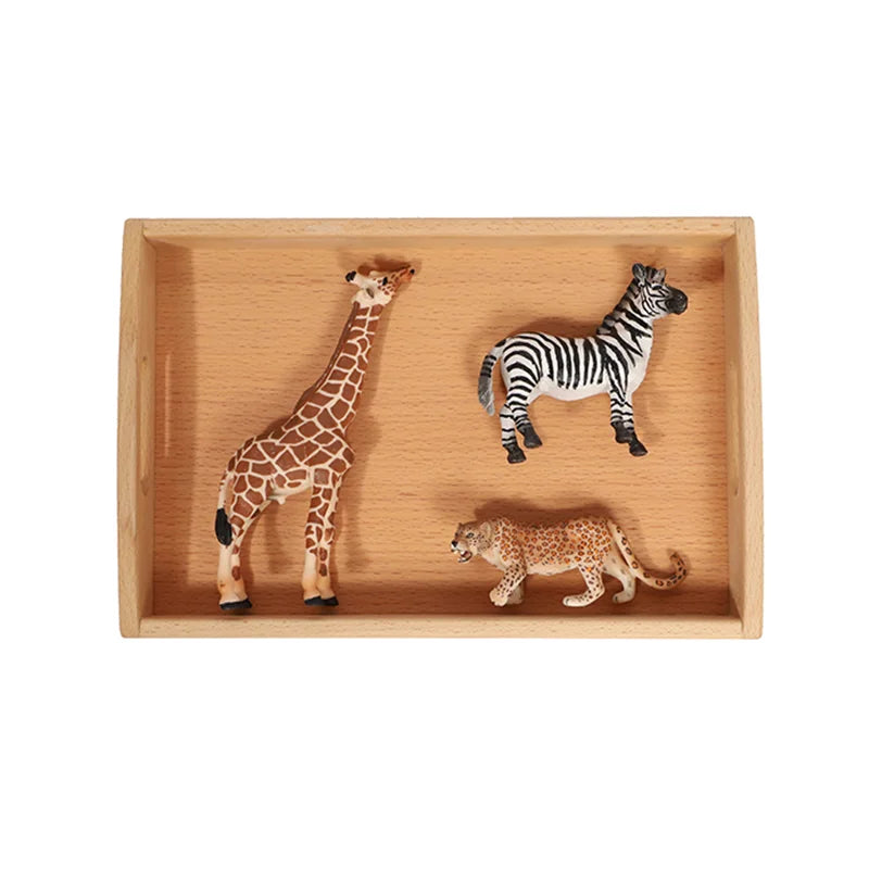 Montessori Wooden Beechwood Trays