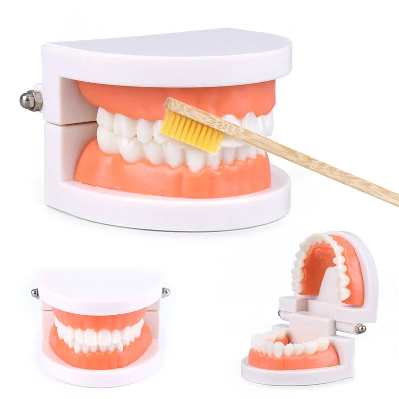 Montessori Practical Life Tooth Brushing Set