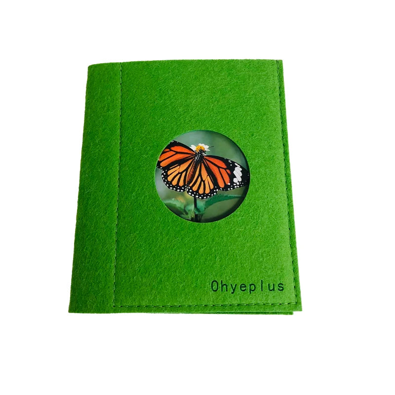 Montessori Life Cycle-Butterfly, Frog,Turtle, and Chicken Models with Cards