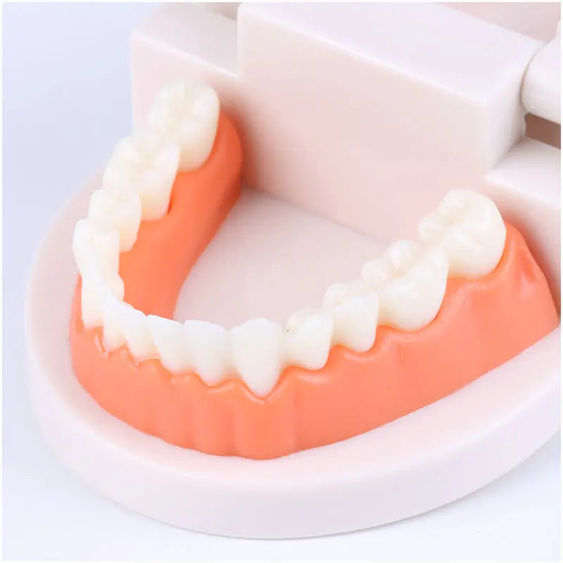 Montessori Practical Life Tooth Brushing Set