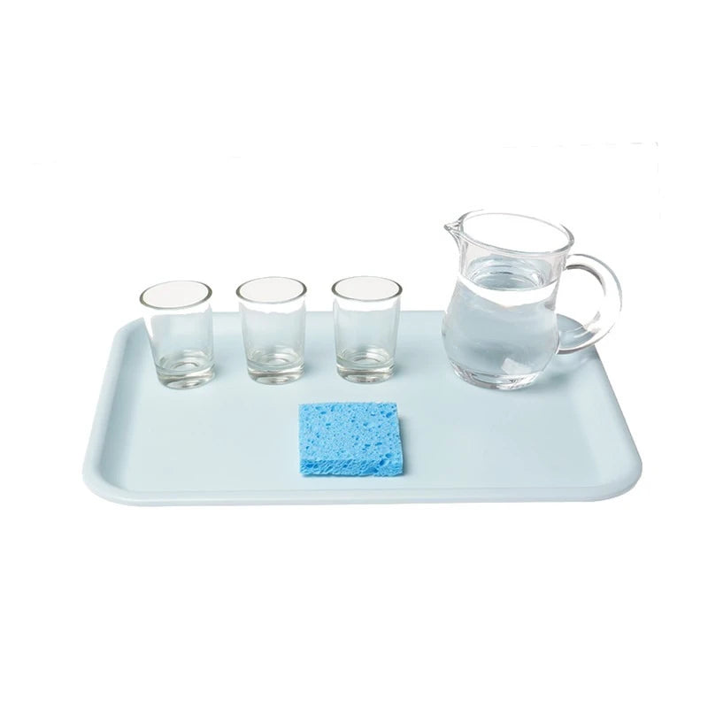 Montessori Practical Life Water Pouring Tray Set