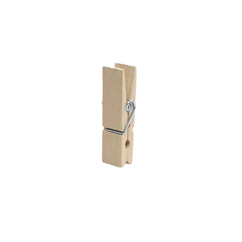 Montessori Practical Life Clothespin and Basket Fine Motor Skills Development