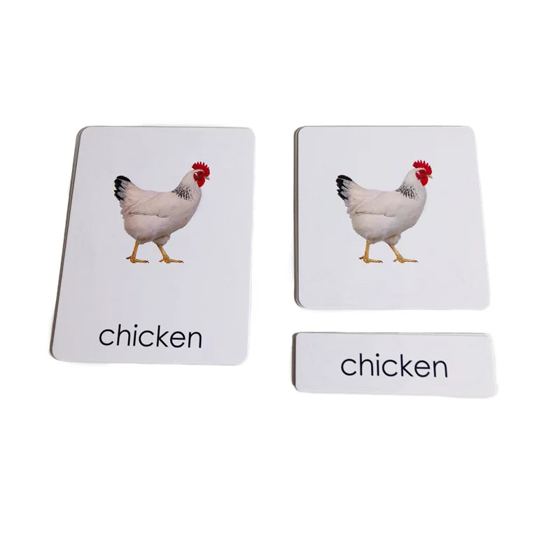 Montessori Life Cycle-Butterfly, Frog,Turtle, and Chicken Models with Cards