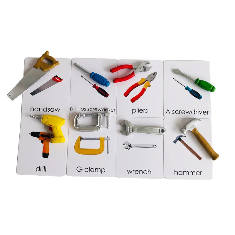 Montessori Language Materials Models with or without cards of Human Organ/ Hardware Tool/ Instruments/ Flower