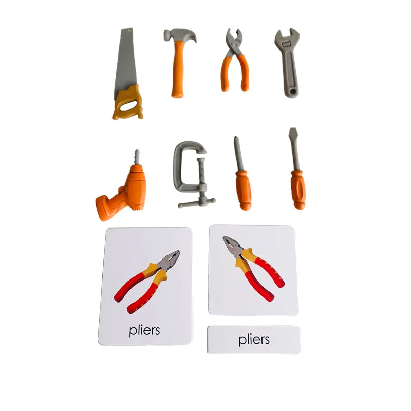 Montessori Language Materials Models with or without cards of Human Organ/ Hardware Tool/ Instruments/ Flower