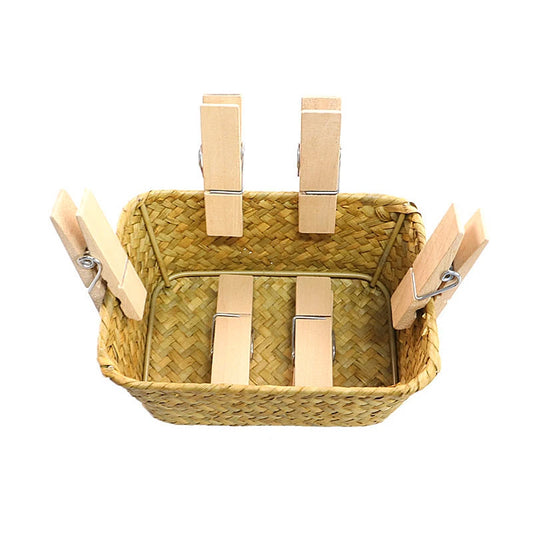 Montessori Practical Life Clothespin and Basket Fine Motor Skills Development
