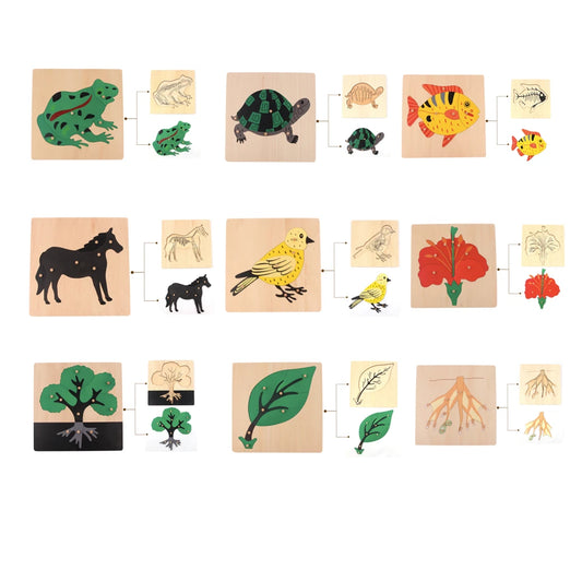Montessori Wooden Puzzles for Kids Flower/Tree/Root/Leaf/ Frog/ Bird